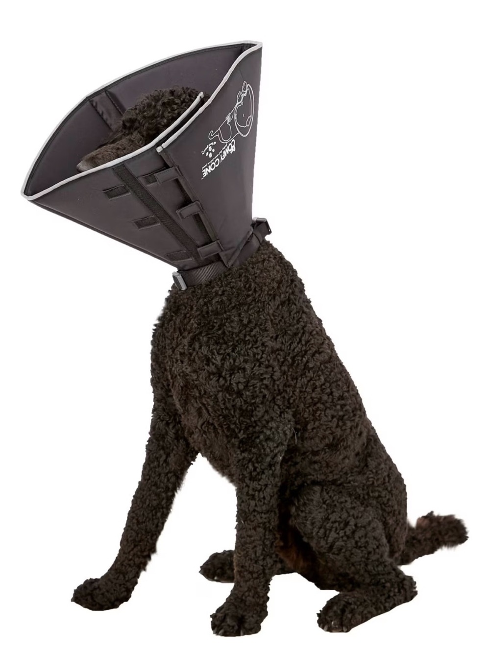 E-Collar “Comfy Cone,” Large